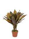Zen Collection Futo Kordulini se Gastra 60cm 49972