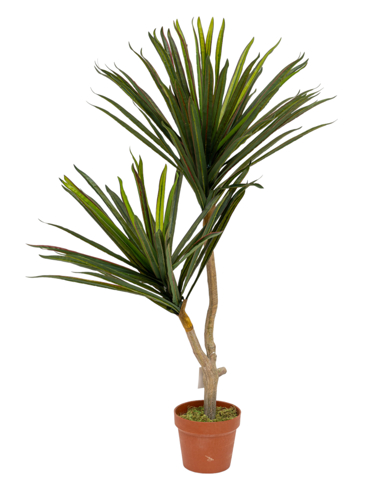 Zen Collection Φυτό Γιούκα σε Γλάστρα 110cm 49977